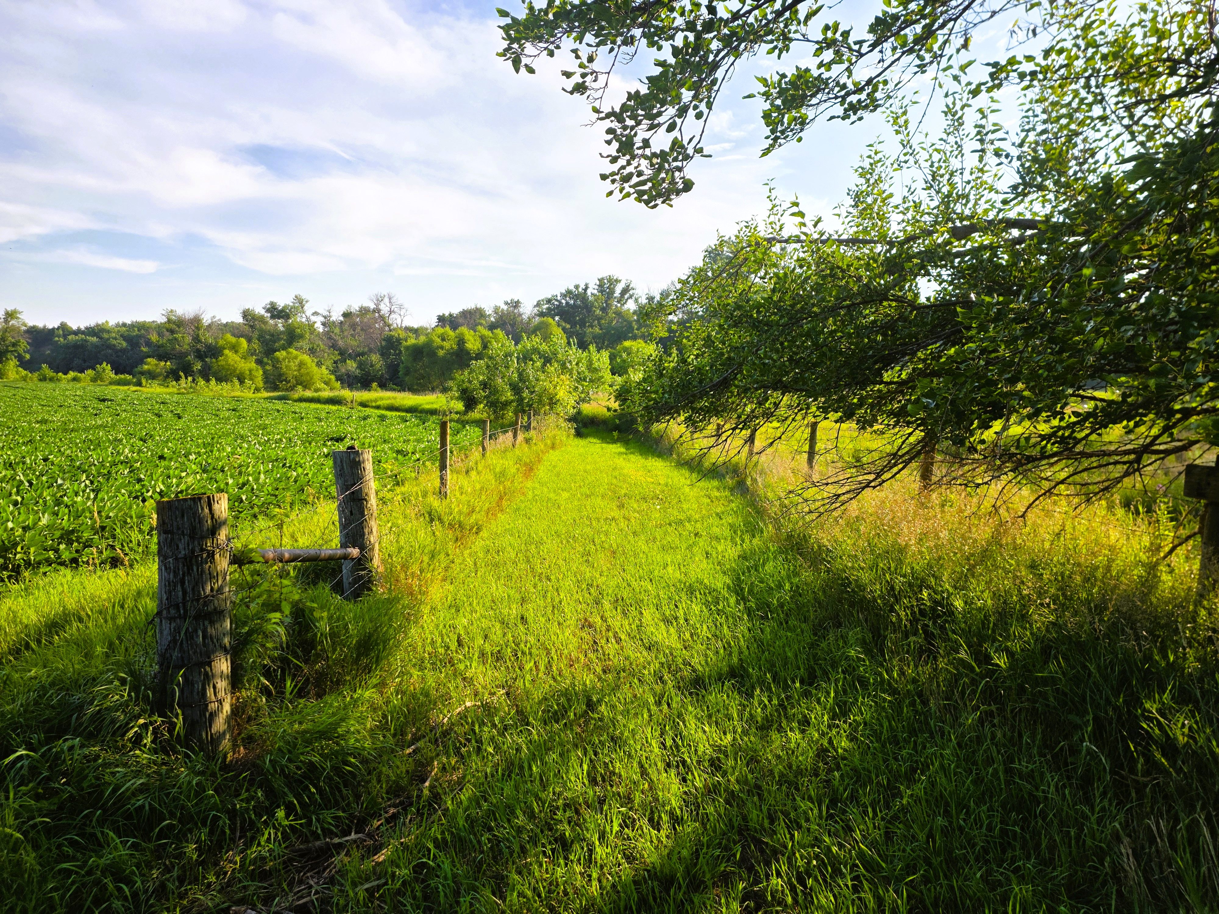 Listing Photo: Ground - fence 